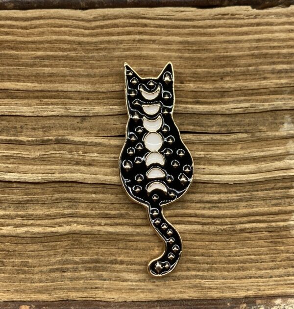 Pin Moonphase cat