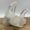 Lemurian kluster